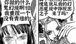 海贼王青雉爆料视频,青雉揭秘神秘爆料，揭开世界政府惊天秘密