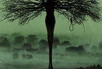 塞勒姆在线观看,在线观看带你走进神秘小镇的惊悚世界