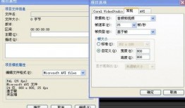 爆料视频的大小规格是啥,爆料视频规格揭秘，揭秘其背后的技术奥秘