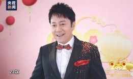 蔡国庆春晚爆料视频,独家爆料幕后精彩瞬间