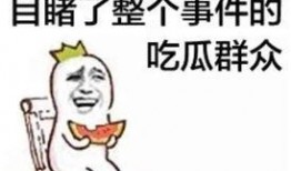 沙雕剧情吃瓜群众小说免费阅读,一场小说世界的狂欢盛宴