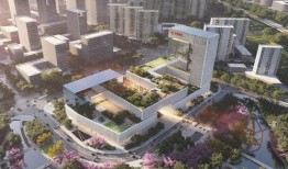 正弘城网红爆料视频大全,揭秘热门话题背后的真相