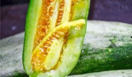 那些吃瓜的网红,揭秘网络红人的八卦世界