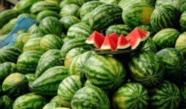 那些吃瓜的网红,揭秘网络红人的八卦世界