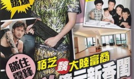 张柏芝离婚爆料视频,视频揭露惊人真相