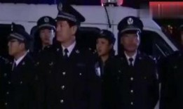 公安局长第二部全集在线观看,风云再起，正义之战