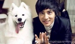 娱乐爆料男博主有哪些,盘点那些热衷爆料的热门男博主