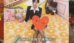 女网红事件爆料视频大全,揭秘网络红人背后的真相