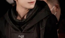 张颂文爆料娱乐圈视频大全,视频大全大揭秘