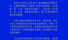 亳州最新爆料视频,一窥这座古城的繁华与变迁