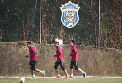 足球董祥爆料最新消息视频