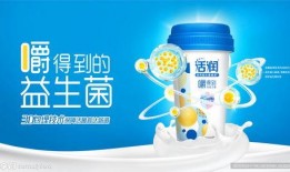 益菌酸奶爆料怎么做视频,轻松在家享受健康美味