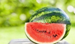 有网红吃瓜网站吗视频大全,揭秘热门视频大全背后的秘密