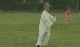 驴拳完整版在线观看,驴拳完整版在线观看深度解析