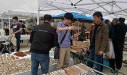 阿拉善展会爆料信息最新,绿色科技盛宴即将启幕