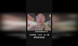 大王爆料青岛视频大全集,视频大全集深度解析