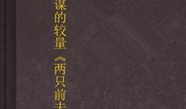 爱情与阴谋的较量在线观看,爱情与阴谋的较量剧情揭秘