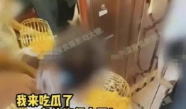 张小寒爆料女明星视频,真相与争议并存