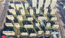 齐河绿城爆料最新消息