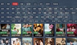 雷神周年爆料视频下载安装,揭秘爆料视频中的下载安装攻略与亮点