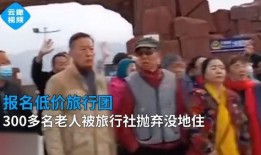 辽宁老年旅行团爆料视频,揭秘旅行中的那些趣事与感动