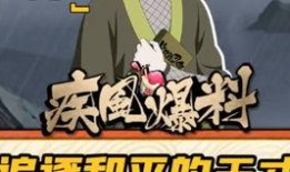 火影熊猫爆料视频,揭秘忍者世界新篇章