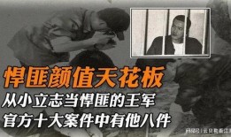 二八大案最新爆料