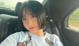 辛巴爆料徐婕视频大全播放,揭秘背后真相与争议