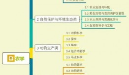 大王爆料青岛视频大全集,视频大全集深度解析