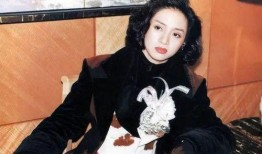 梅艳芳自己爆料病情视频,勇敢面对病魔，无畏人生挑战