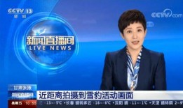 楚雄电视台爆料新闻视频,重大新闻事件深度解析