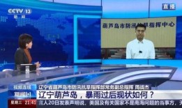 辽宁葫芦岛新闻媒体爆料,葫芦岛某事件引发关注，媒体深入调查揭示真相