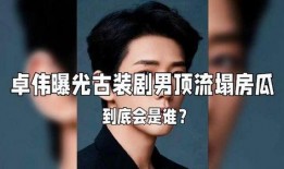 男星塌房爆料视频大全集,男星塌房视频大全集深度解析