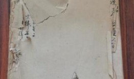 大连探店爆料视频最新版,最新版热门美食攻略大盘点