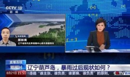 辽宁葫芦岛新闻媒体爆料,葫芦岛某事件引发关注，媒体深入调查揭示真相