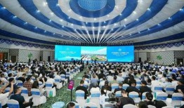 今日呼和浩特爆料新闻,市区惊现罕见奇观，居民生活受影响