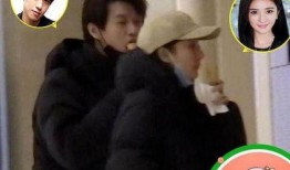 魏大勋和杨幂最新爆料,揭秘幕后故事与情感纠葛