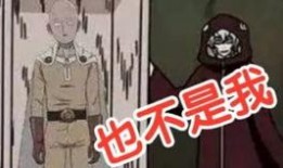 鹰佐爆料视频,独家内幕大公开