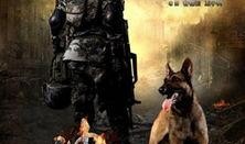 神犬奇兵电视剧在线观看