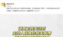 关于娱乐圈吃瓜的评价,揭秘明星幕后真相与娱乐泡沫