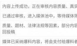 爆料视频指的是那些内容,内容大曝光，真相令人震惊！