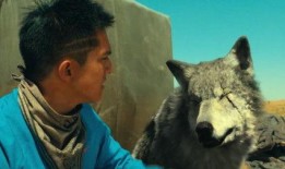 狼有在线观看,揭秘神秘狼族传奇