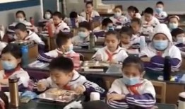 青岛小学生爆料事件视频,校园疑云揭开真相