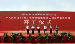 乌海市最新爆料,揭秘城市变革背后的故事