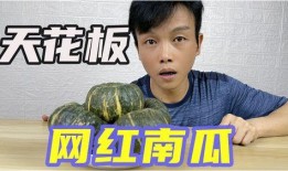 网红界的吃瓜群是什么意思,吃瓜群背后的秘密与娱乐