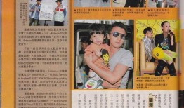 张柏芝离婚爆料视频,视频揭露惊人真相