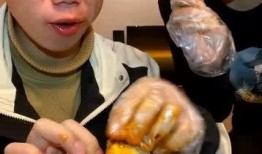 网红吃鸡的瓜,一场直播盛宴背后的争议与反思