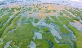 昌江新闻爆料最新消息今天,突发！今日最新事件震撼全城，详情揭晓