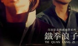 电视剧铁拳在线观看,热血格斗，激战正酣，在线观看，热血沸腾！