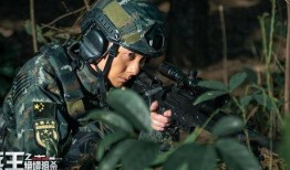特种兵王在线观看,巅峰对决，热血征途